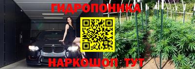 крисы Кунгур