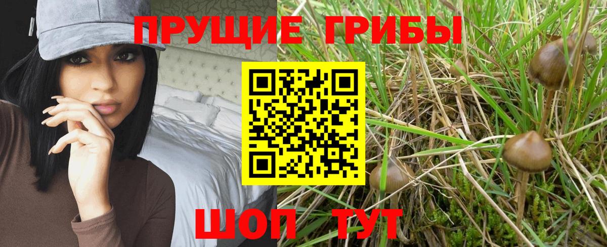 Псилоцибиновые грибы ЛСД Казань