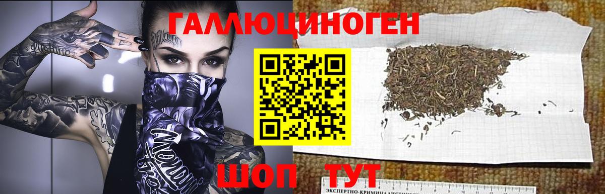 Казань  где можно купить   Вход с VPN  Галлюциногенные грибы прущие грибы  Галлюциногенные грибы прущие грибы 